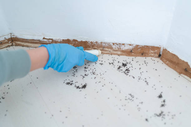 Best Residential Pest Control  in Sunnyside, WA